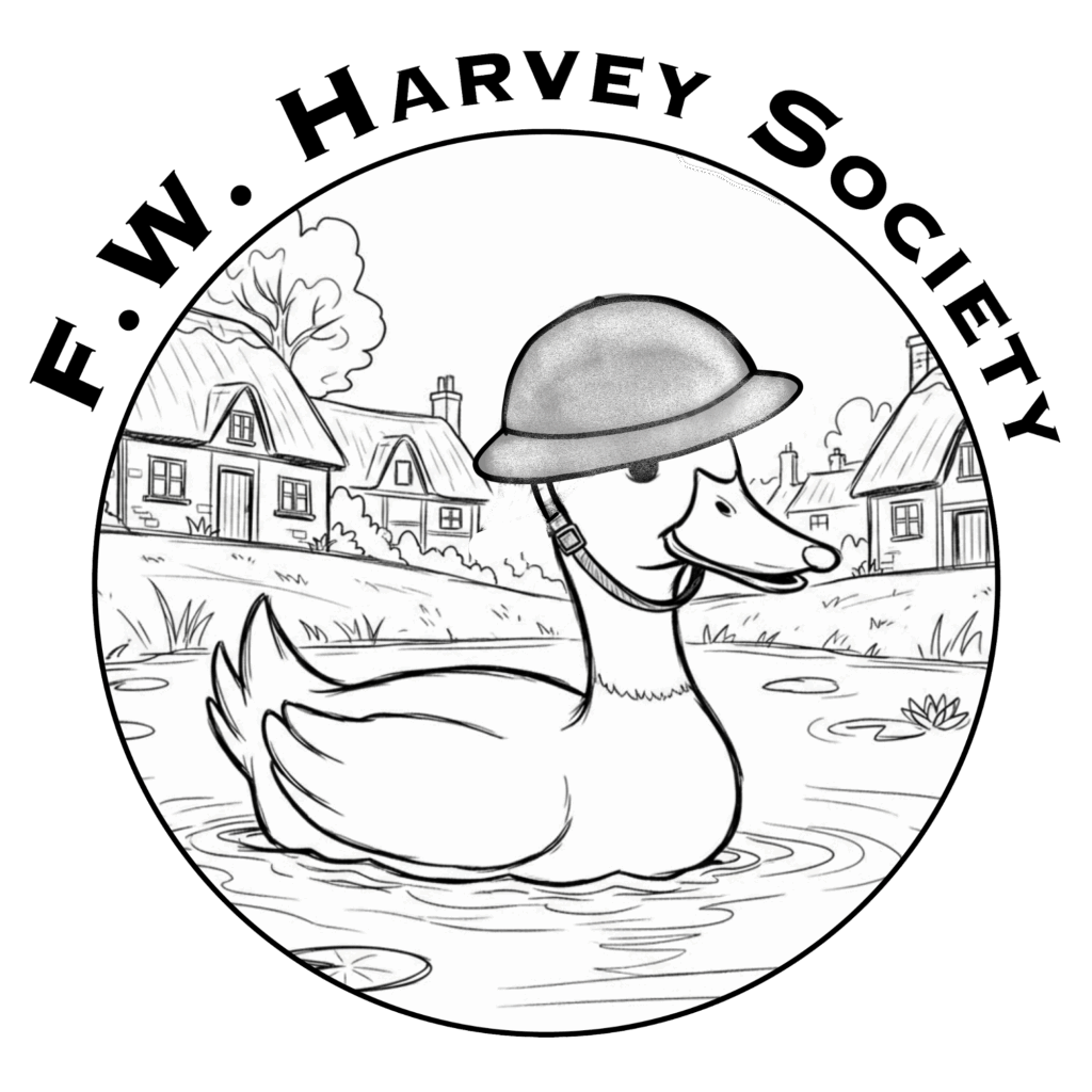duck wearing a WW1 tin helmet